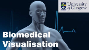 Biomedical Visualisation with Blender 3D